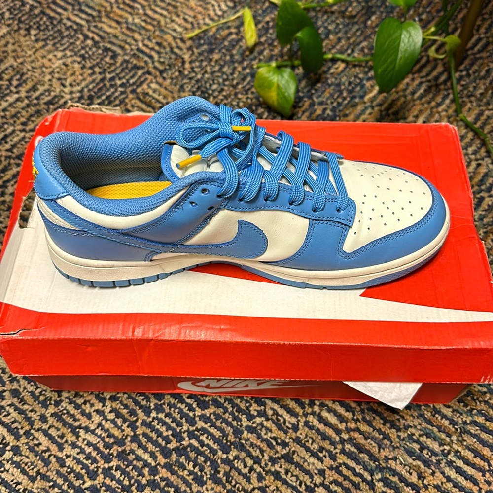Nike Dunks Women’s Dunk Low “Coast”